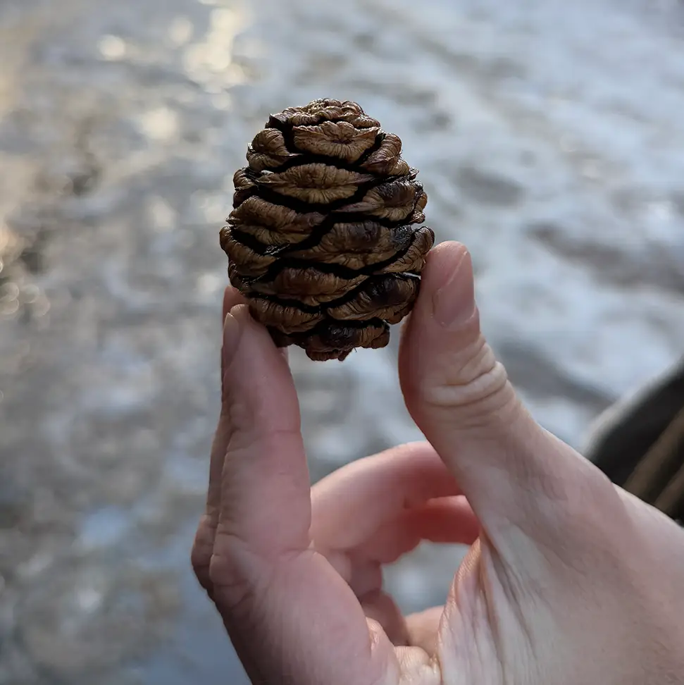 Cedar Church Birmingham Contact