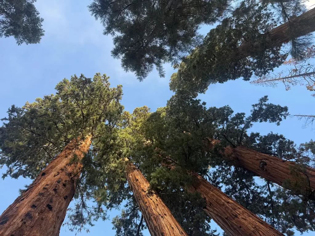 Cedar Church Birmingham About Us